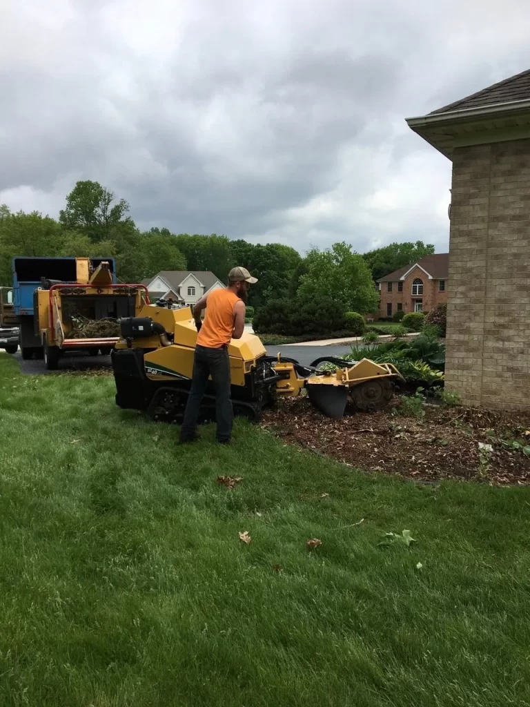 Tree Service Rockford IL