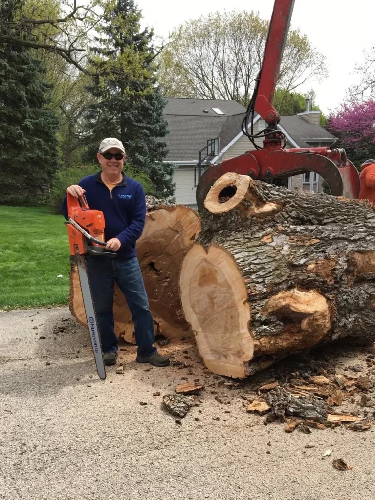 Tree Service Rockford IL