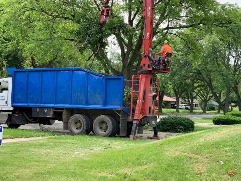 Tree Service Rockford IL