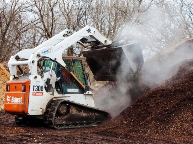 Tree Service Rockford IL