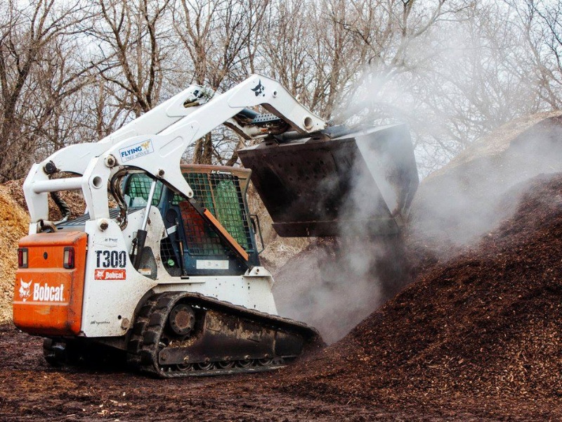 Tree Service Rockford IL