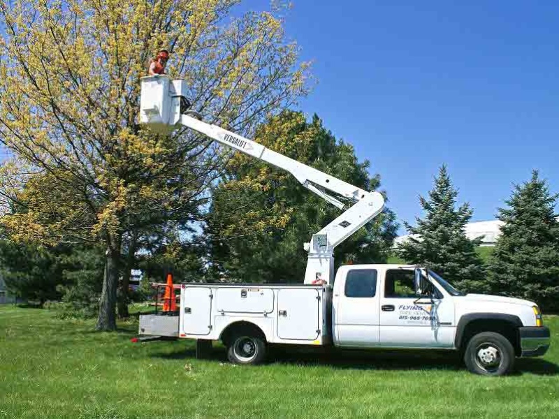 Tree Service Rockford IL