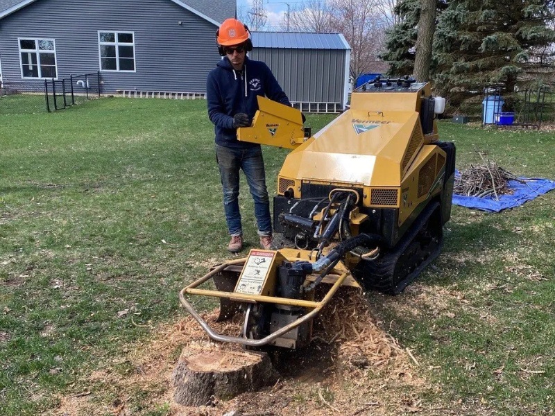 Tree Service Rockford IL