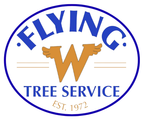 Tree Service Rockford IL